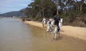 Caballos por Laredo)