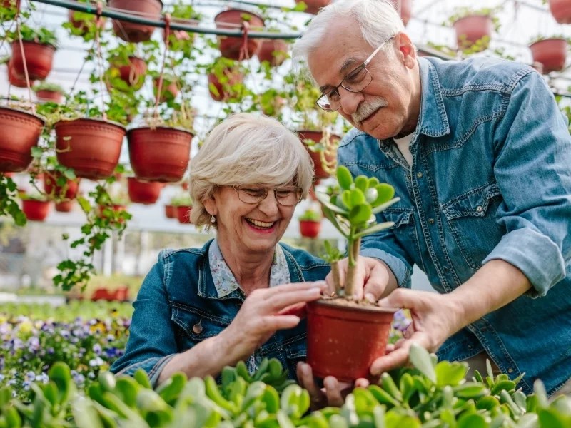 Personas mayores jardinería)